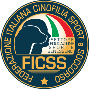 Logo FICSS